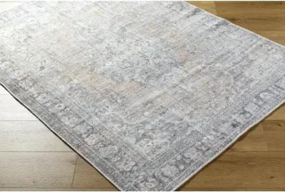 Darling BODA-2305 2'7" x 10' Machine Woven Rug