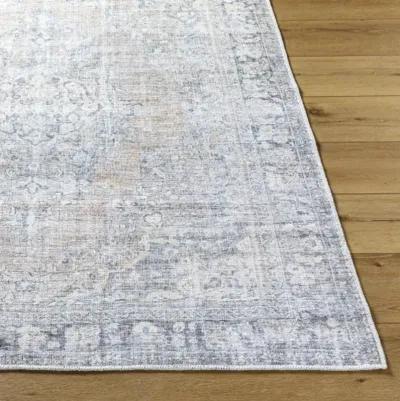 Darling BODA-2305 2'7" x 10' Machine Woven Rug