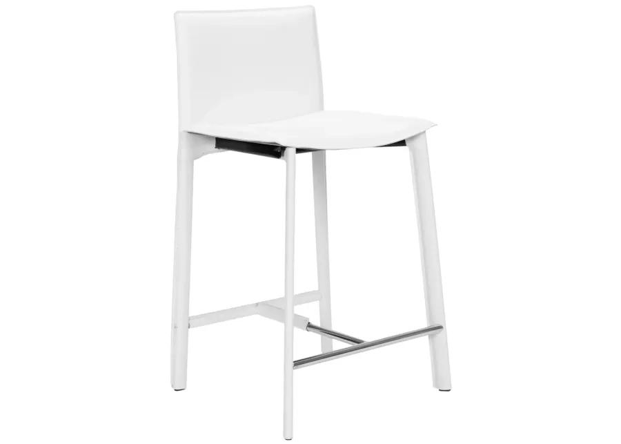 Janet 24" Counter Stool (Set of 2)