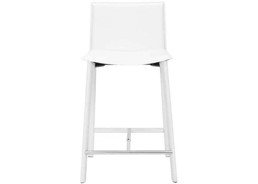 Janet 24" Counter Stool (Set of 2)