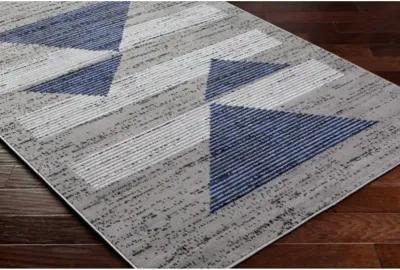 Pisa PSS-2379 5' x 7' Machine Woven Rug