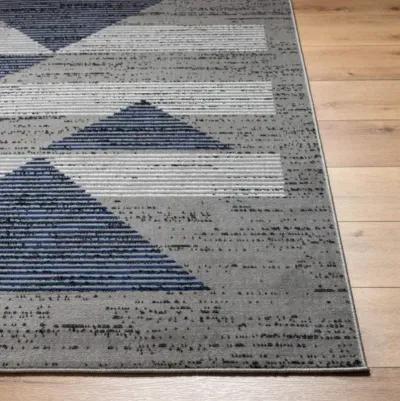 Pisa PSS-2379 5' x 7' Machine Woven Rug