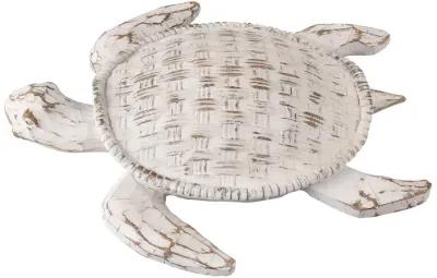 Aly Turtle  -  Whitewash - Set of 2