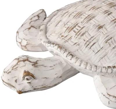 Aly Turtle  -  Whitewash - Set of 2