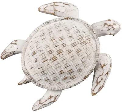 Aly Turtle  -  Whitewash - Set of 2