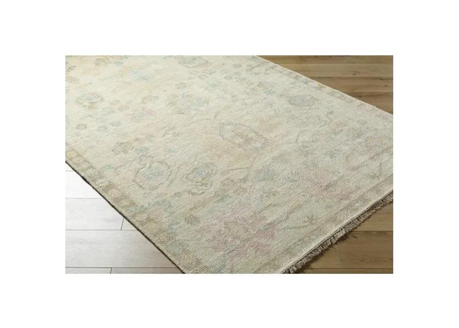 Antalya AAT-2307 8' x 10' Handmade Rug