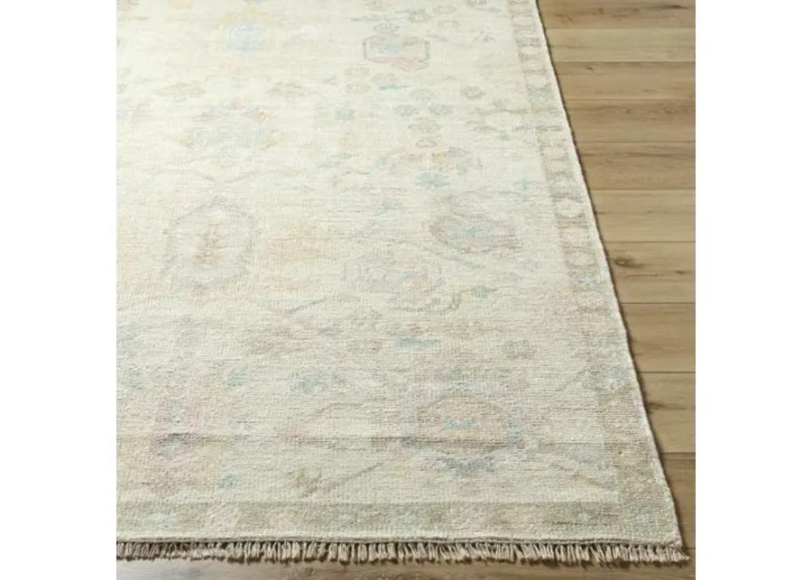 Antalya AAT-2307 8' x 10' Handmade Rug