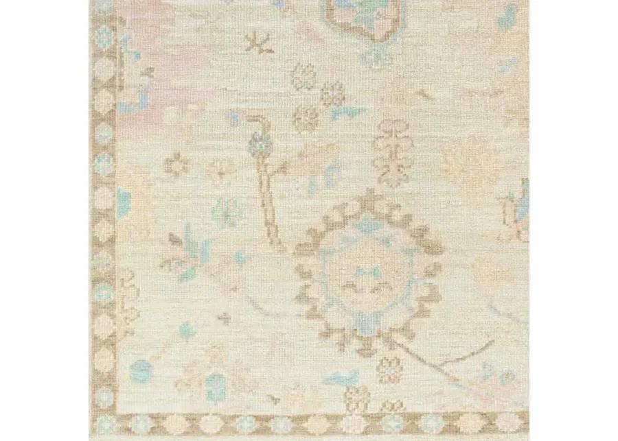 Antalya AAT-2307 8' x 10' Handmade Rug