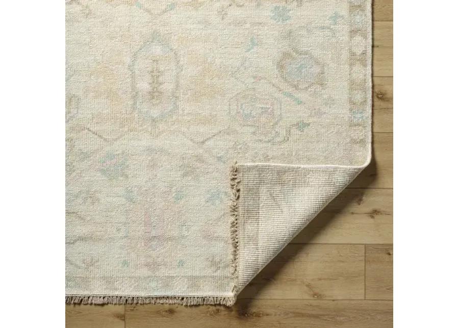 Antalya AAT-2307 8' x 10' Handmade Rug