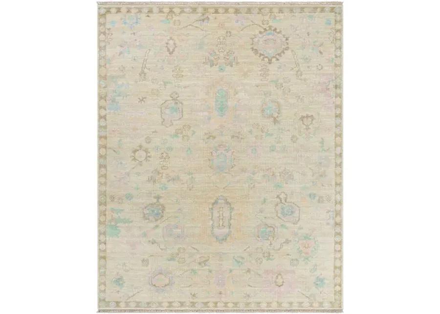 Antalya AAT-2307 8' x 10' Handmade Rug