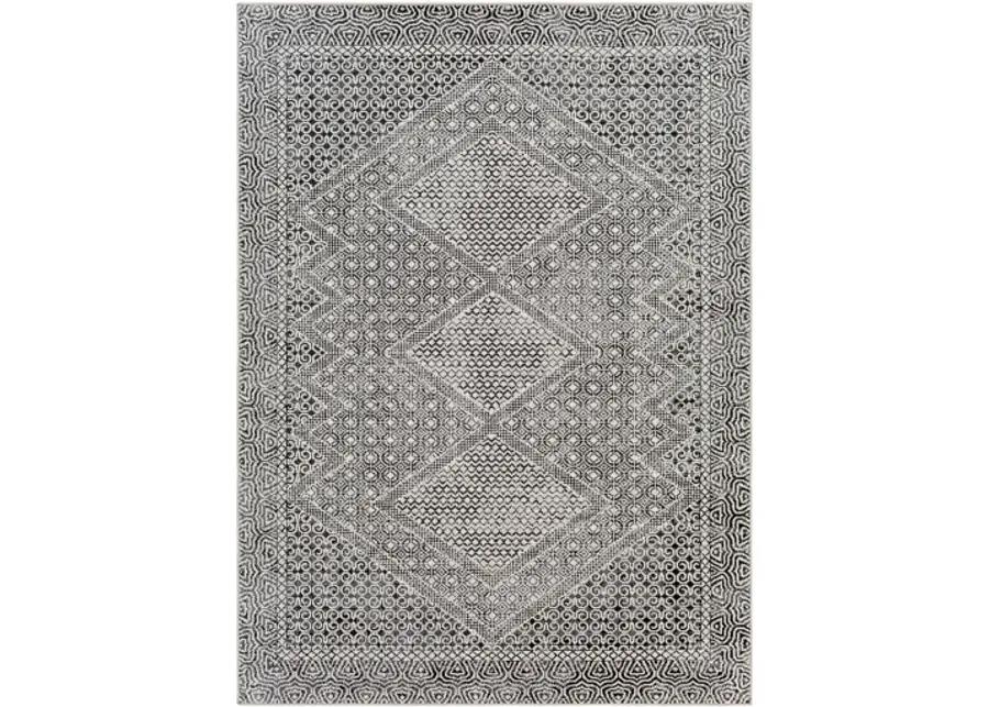 Lavadora 6'7" x 9' Rug