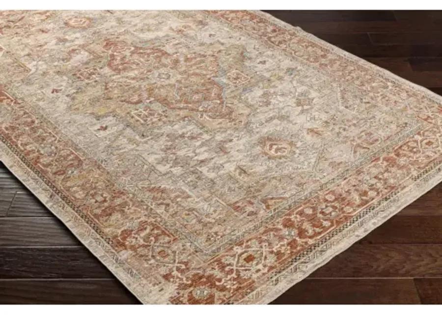 Aspendos APS-2320 2'7" x 7'3" Rug