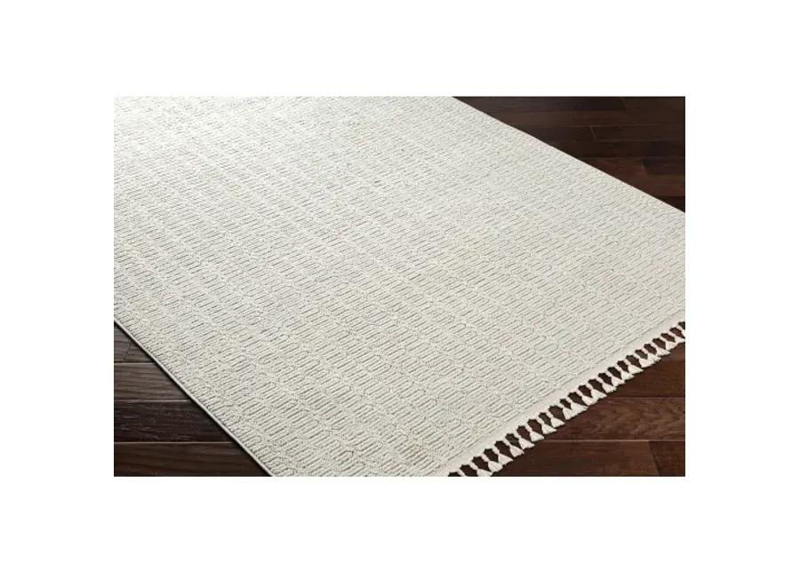 Finland FND-2310 2'2" x 3'9" Machine Woven Rug