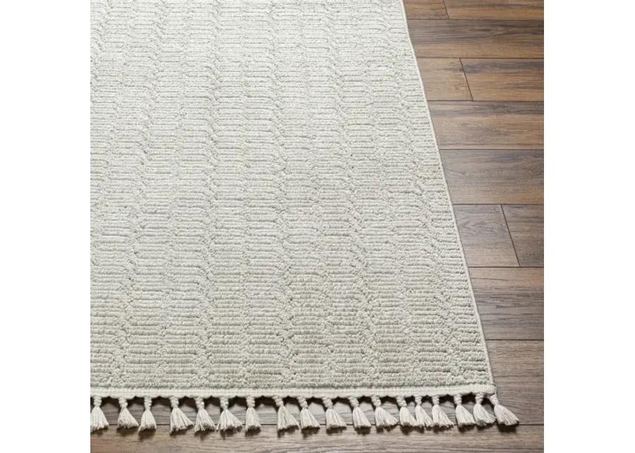 Finland FND-2310 2'2" x 3'9" Machine Woven Rug