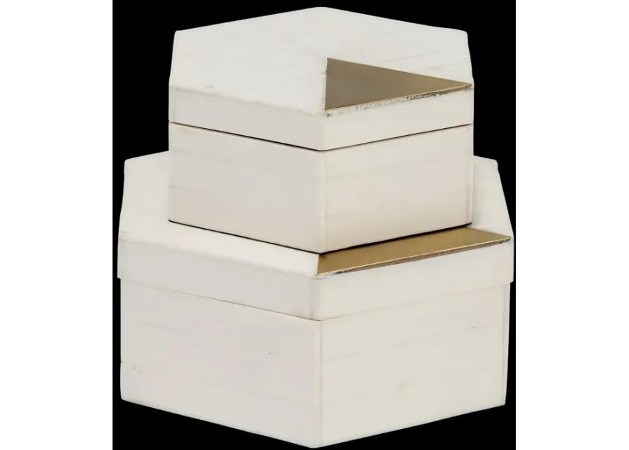  Hexagon Boxes - Set of 2