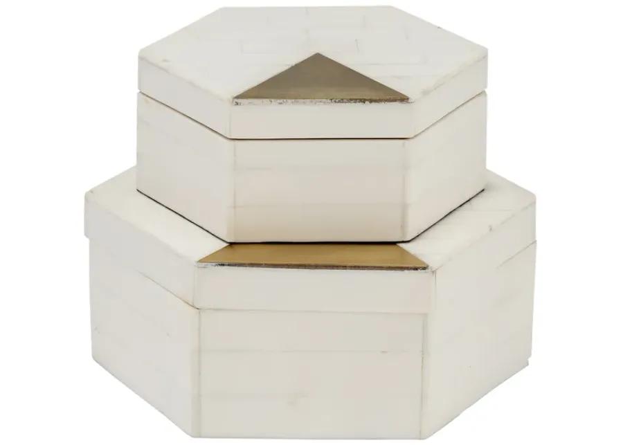  Hexagon Boxes - Set of 2