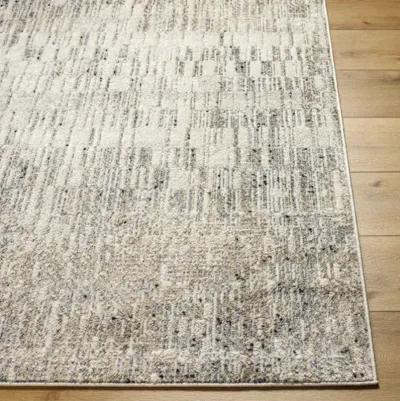 Zidane ZDN-2306 5'3" x 7' Machine Woven Rug