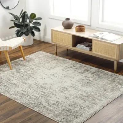 Zidane ZDN-2306 5'3" x 7' Machine Woven Rug