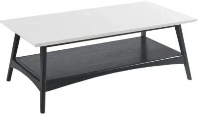 Madison Park Parker Off-White/Black Coffee Table