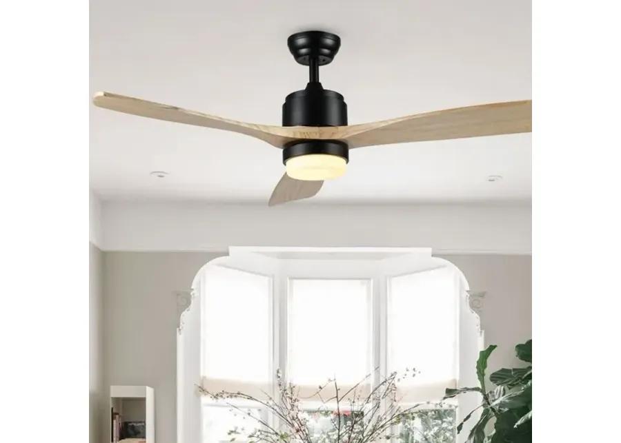 VENCIN CEILING FAN LIGHT