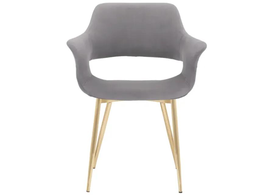 Gigi Grey Velvet Dining Room Chair with Gold Metal Legs - Set of 2