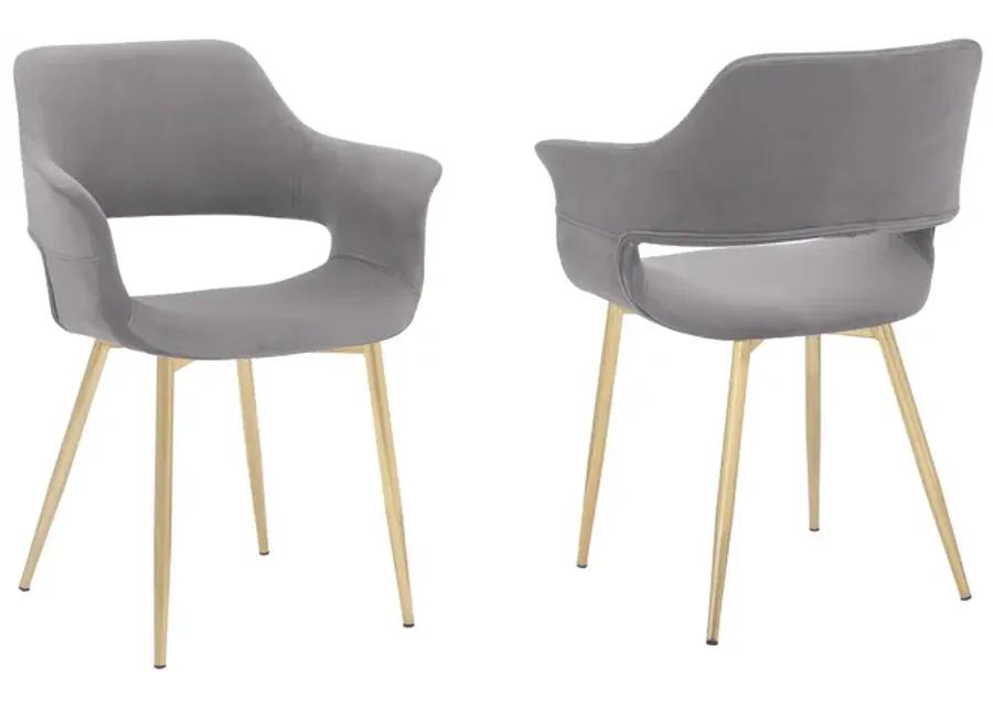 Gigi Grey Velvet Dining Room Chair with Gold Metal Legs - Set of 2