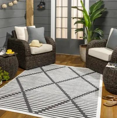 San Diego SFG-2317 6'7" x 9' Machine Woven Rug