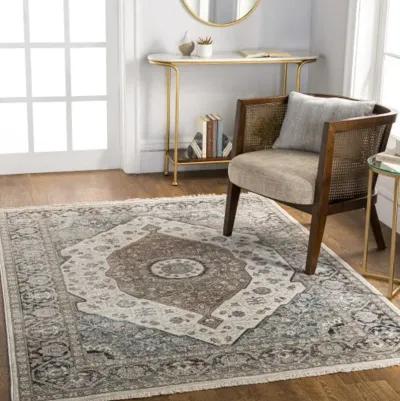 Carlisle CSI-2306 2'11" x 10' Rug