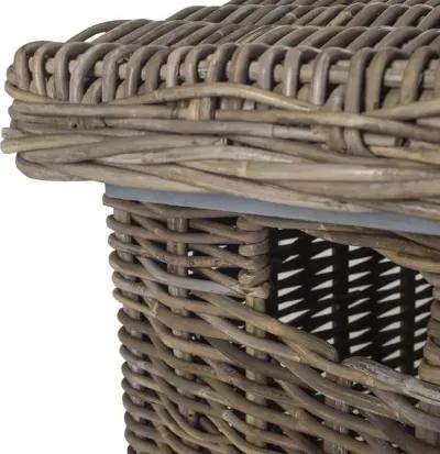 MIKASI WICKER TRUNK