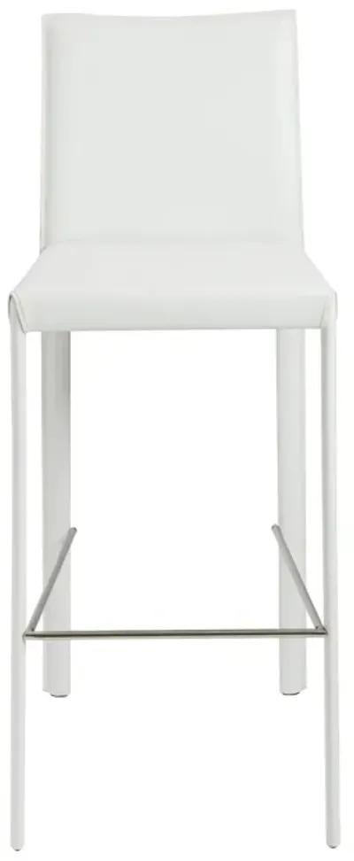 Hasina Bar Stool in White with Polished Stainless Steel Footrest - Set of 2