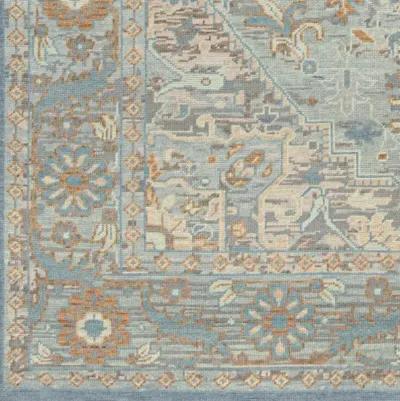 Cappadocia CPP-5034 9' x 13' Handmade Rug