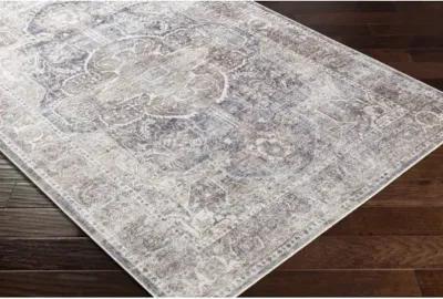 Tahmis 7'10" x 10'2" Rug