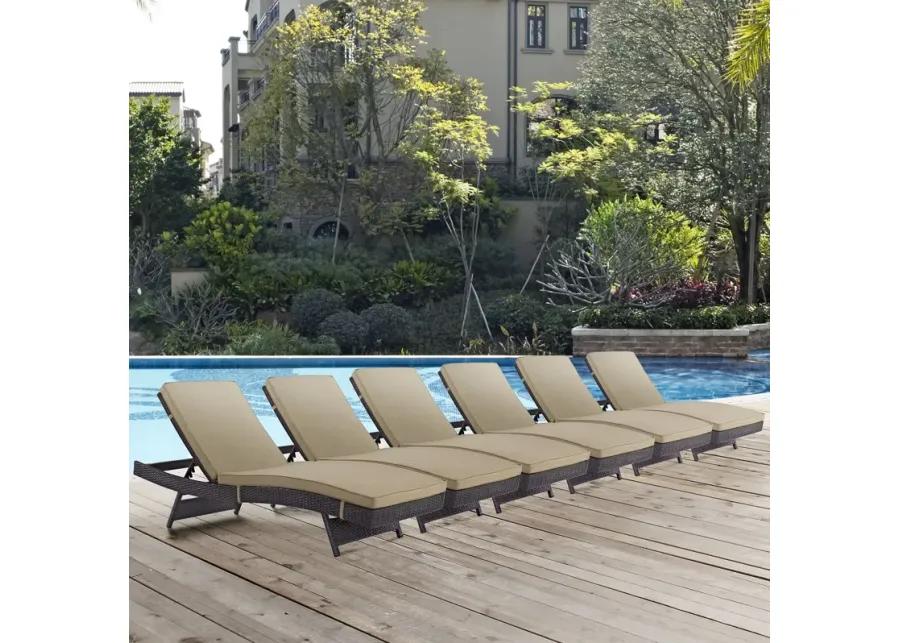 Convene Chaise Outdoor Patio Set of 6