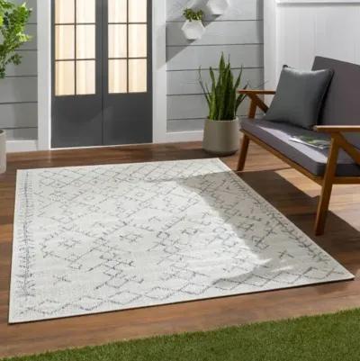 Eagean 8'10" x 12' Rug