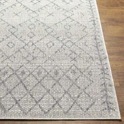 Eagean 8'10" x 12' Rug