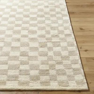 Damier DMI-2303 2' x 3' Handmade Rug