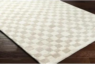 Damier DMI-2303 2' x 3' Handmade Rug