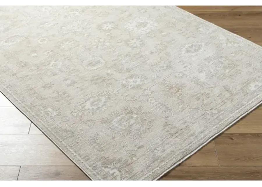 Emory EMO-2306 2'4" x 3'9" Machine Woven Rug