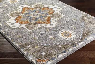 Monet MMO-2303 7'10" x 10' Machine Woven Rug