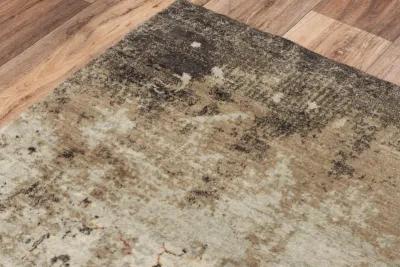 Ovation Beige/Brown distressed/classical N Z wool 9'x12' Rectangle Rug