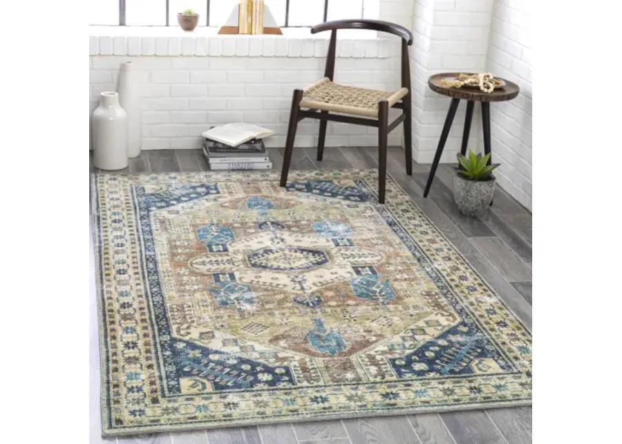 Erin 2'6" x 4' Rug