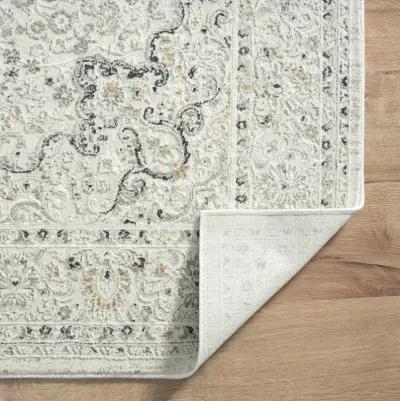 Ila Contemporary Vintage Hi-Low Medallion Area Rug 2' x 3'