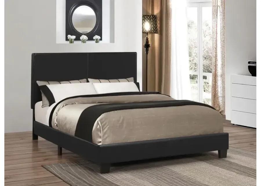 Mauve Twin Upholstered Bed Black