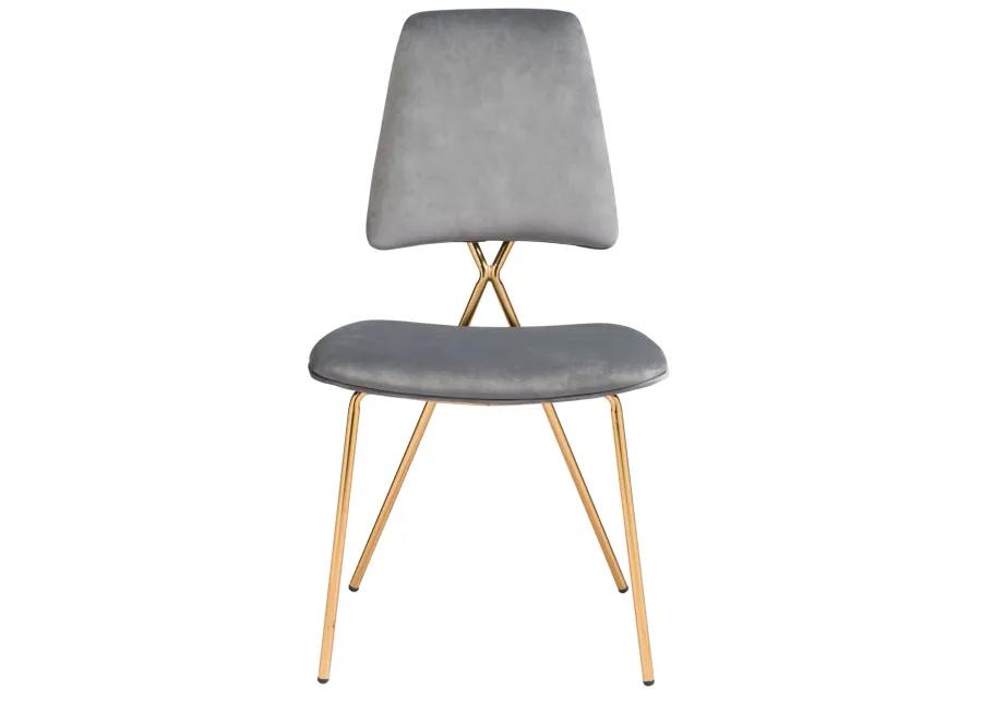 Chloe Dining Chair (Set of 2) Gray & Gold