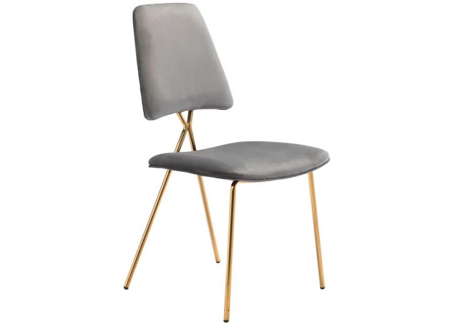 Chloe Dining Chair (Set of 2) Gray & Gold