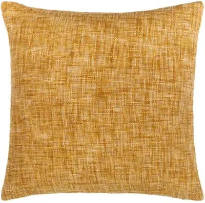 Ezequiel EZQ-001 22"L x 22"W Accent Pillow