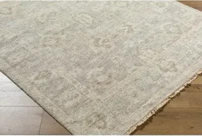 Biscayne 6' x 9' Rug