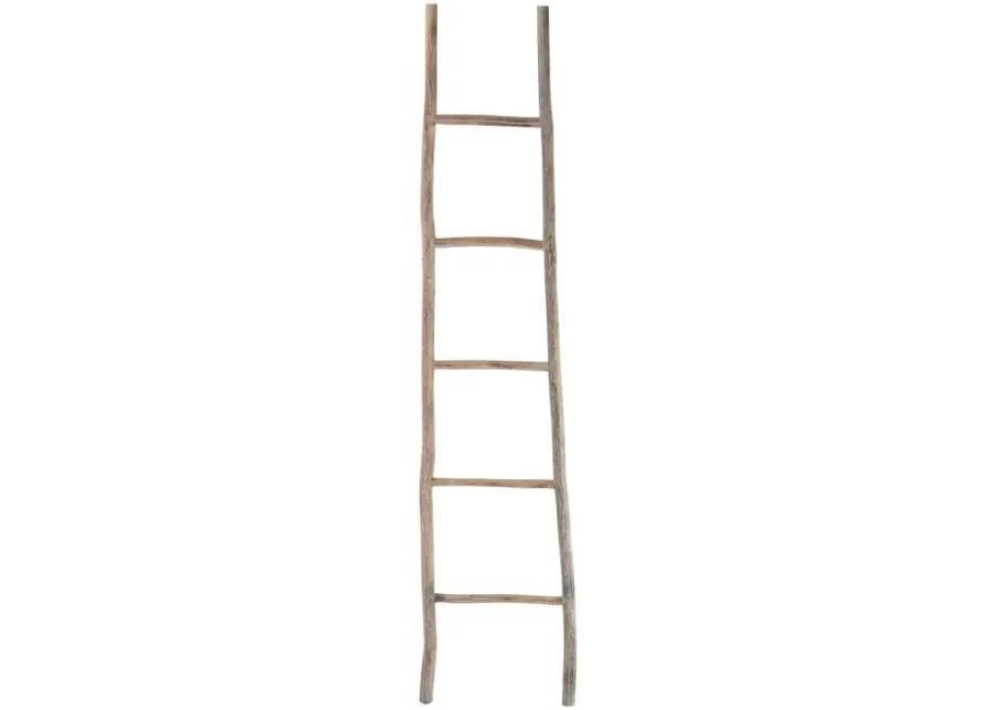 Lydia Wood Ladder - Large Bleached