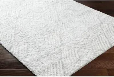 Cloudy Shag Machine Woven Rug