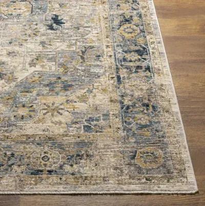 Aspendos APS-2310 2'7" x 10' Rug